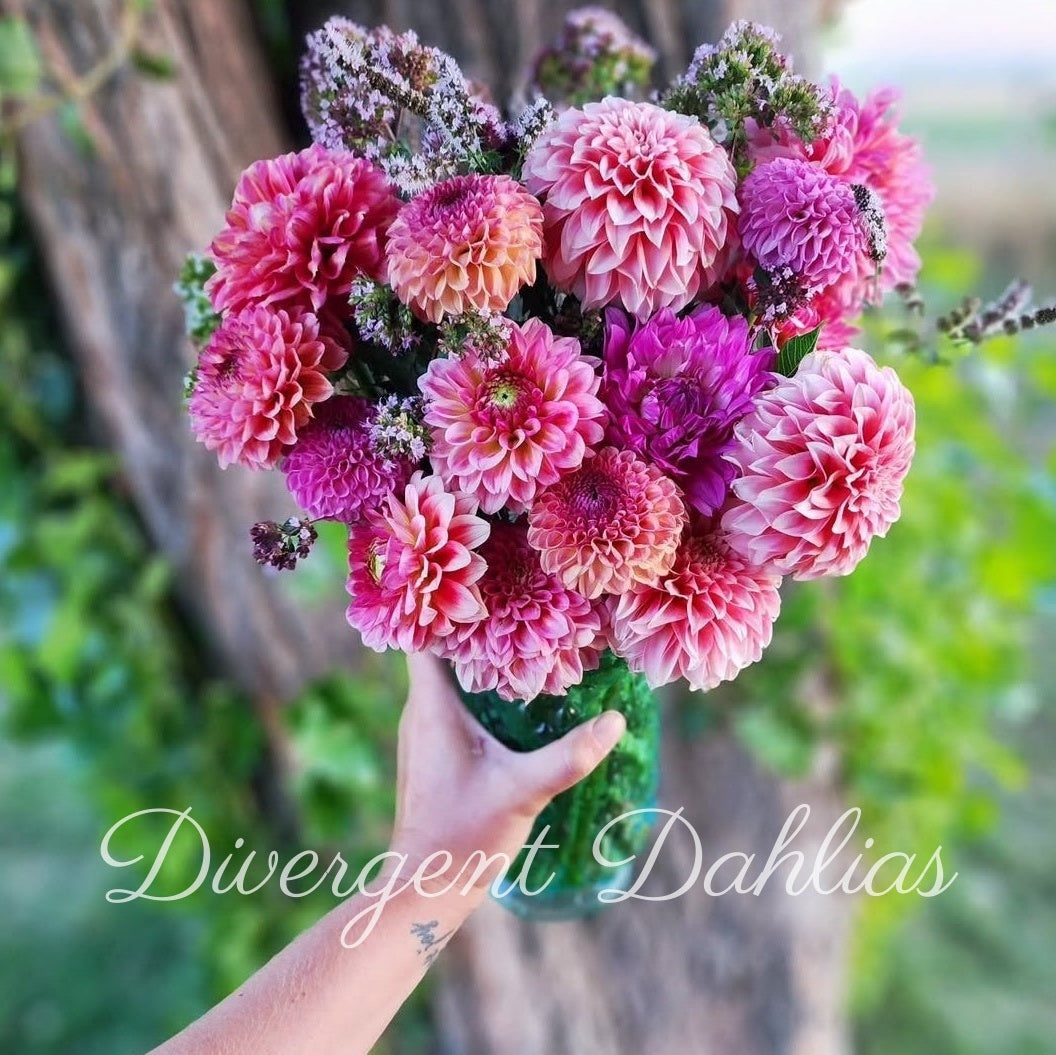 Custom Arrangement (DEPOSIT)